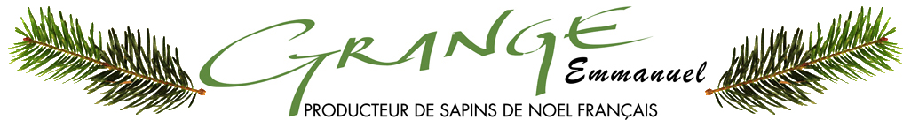 Pépinières Grange, producteur de sapin de noël