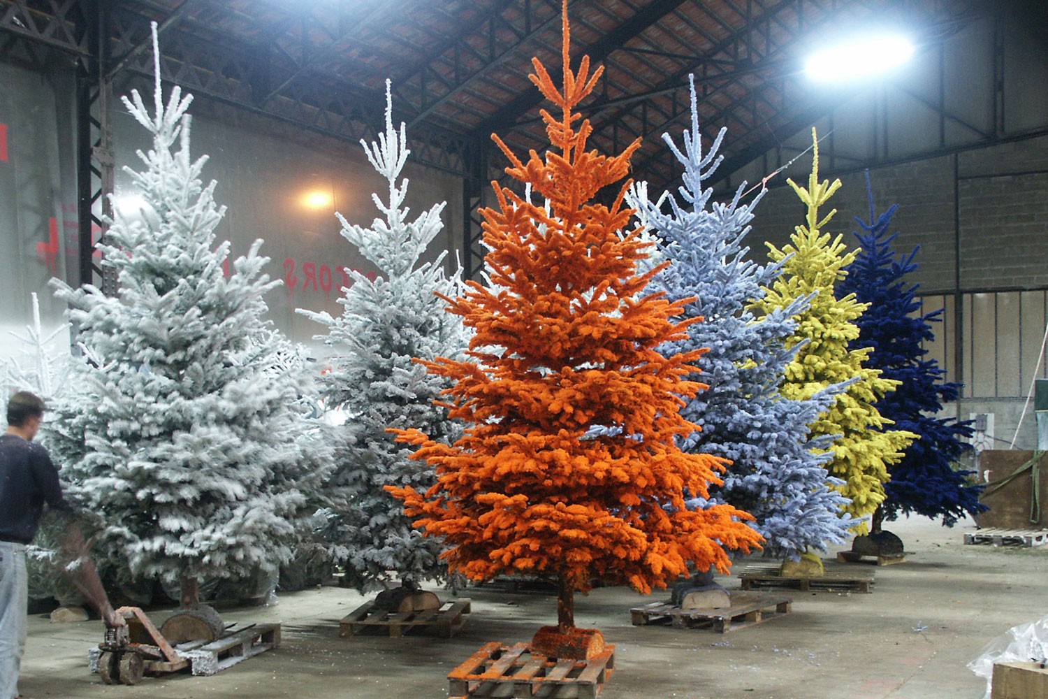 sapins de noël français - pépinière grange - grands sapins flockés