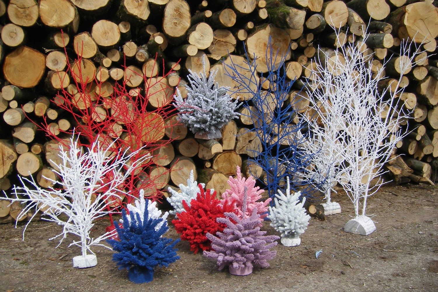 sapins de noël français - pépinière grange - sapins flockés couleur