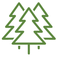 sapins de noël français - production