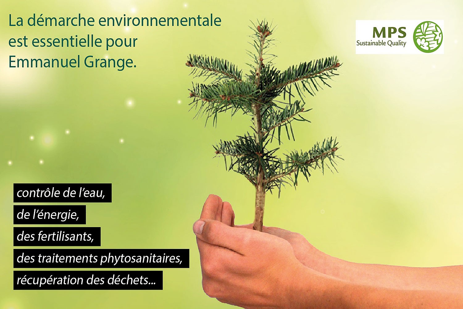 sapins de noël français - pépinière grange - démarche environnement